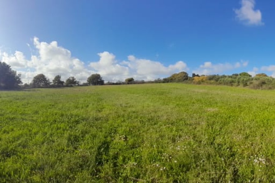 Terreno - Agricolo In Vendita, Bracciano